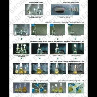 Основа селективного агара HiCrome для обнаружения и идентификации Bacillus HiEncap ФСЗ 2009/03705