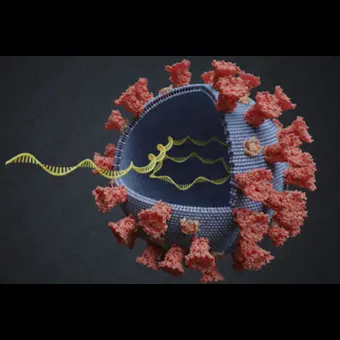 Набор для тестов на инфекционные заболевания N501Y SARSnCoV19 qRTPCR