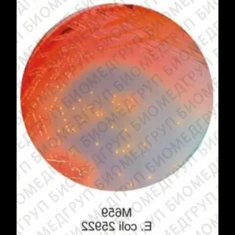 Агар лактозный Дригальского с лакмусом модифицированный, 500г ФСЗ 2009/03705