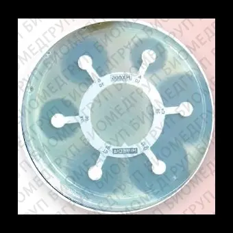 Гексадиски Pseudo 6 для P. aeruginosa, Pseudomonas spp., Acinetobacter spp. и др. 10 гексадисков