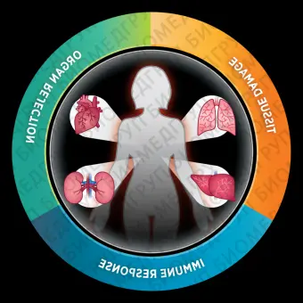 Панель nCounter Human Organ Transplant