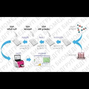 Панель для профилирования миРНК, Multiplex miRNA Assay Core Reagent Kit  Circulating crude biofluid, Abcam, ab203184, 96 тестов