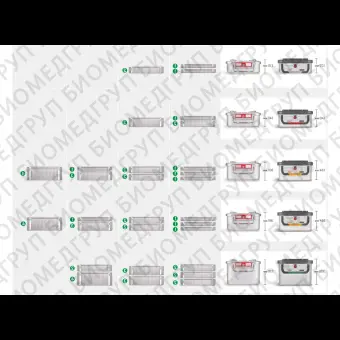 Контейнер для стерилизации 1/1 MarSafe, оранжевая рамка, 603027см, KLS Martin