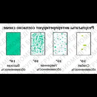 Микробиологические экспресстесты для подсчета КМАФАнМ ОМЧ с красным индикатром ТТС для удобства подсчета колоний и дрожжи/плесени, двухсторонние, DipSlides, 10 шт/уп, Thermo FS, DS0155A