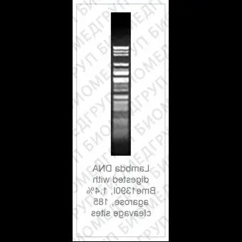 Эндонуклеаза рестрикции Bme1390I Fast Digest для ускоренного гидролиза ДНК, Fermentas, Thermo FS, FD1424, 100 реакций