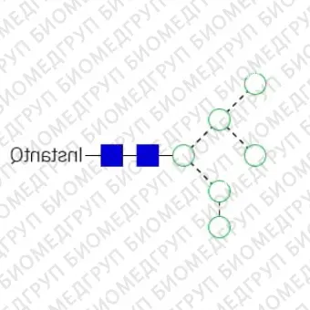 Nгликан AdvanceBio InstantQ Man6/M6 олигоманноза 6 ранее ProZyme. Nгликан, помеченный InstantQ, для использования в качестве качественного стандарта с системой анализа гликанов GlyQ