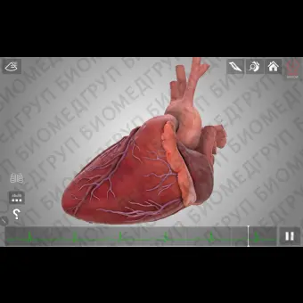 Медицинский симулятор для кардиологической хирургии HeartWorks AR