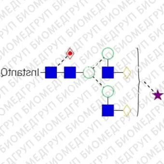 AdvanceBio InstantQ G2FS1 2,3 / FA2G2S31 Стандарт Nгликанов ранее ProZyme. Nгликан моно2,3сиалилированный, галактозилированный двухантенный Nгликан, ядро которого замещено фукозой, меченный InstantQ для использования в качестве качественн