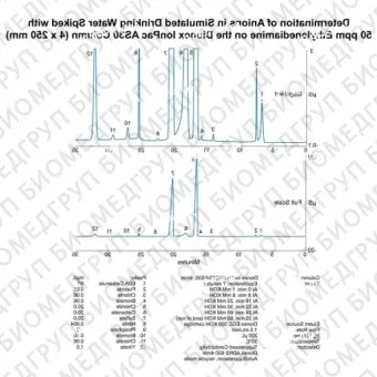 Dionex IonPac AS30 Analytical and Guard IC Columns