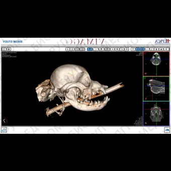 Ветеринарный рентгеновский сканер Vimago