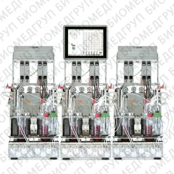 Биореактор бактериальный, стеклянные сосуды 0,4 л, 0,75 л или 1,4 л на выбор, два сосуда для параллельного культивирования, контроль 24 параметров, Multifors 2, Infors, Multifors2