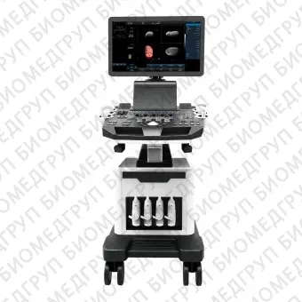 Ультразвуковой сканер на платформе DWF50