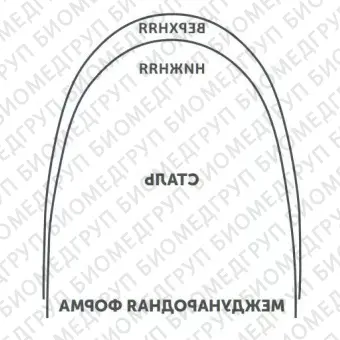Дуги ортодонтические международная форма нижние INT NiTi TA L .021x/.025/.53x.64