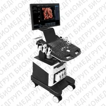 Ультразвуковой сканер на платформе DWF50