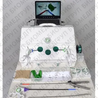Акушерский/гинекологический медицинский симулятор eoSim SurgTrac OBGYN