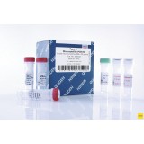 Набор для количественной ПЦР в режиме реального времени Type-it Microsatellite PCR Kit, Qiagen, 206246, 2000 реакций