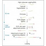 Набор для секвенирования ДНК со стадией ПЦР, PCR Seqiencing Kit, Oxford Nanopore Technologies, SQK-PSK004