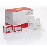 Набор PureLink Viral RNA/DNA Mini Kit, Thermo FS, Thermo FS, 12280050, 50 выделений