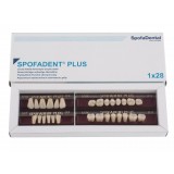 Spofadent Plus (D3) 1/32-0/2-1/74