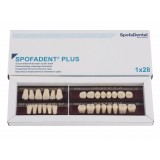 Spofadent Plus (В2) 1/40-0/7-1/62