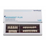 Spofadent Plus (А2) 59-0/8-77N