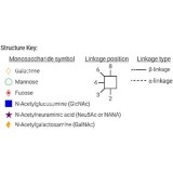 Стандарт N-гликанов AdvanceBio APTS G2F / FA2G2 (ранее ProZyme)