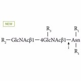 N-гликаназа AdvanceBio (PNGase F, без ЭДТА), ≥2,5 ЕД/мл (ранее ProZyme)